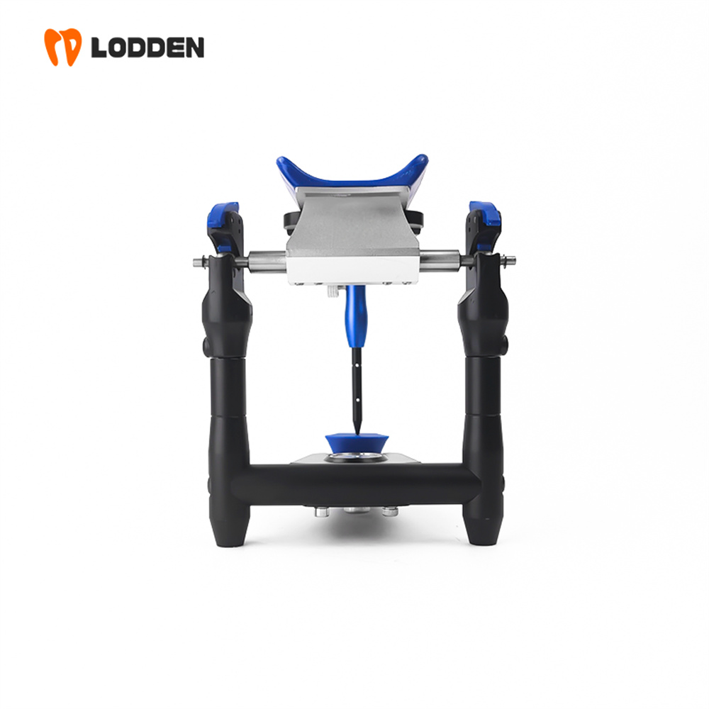 Medical Lab Values - Artikulator LODDEN BN Value Miniatur Unit
