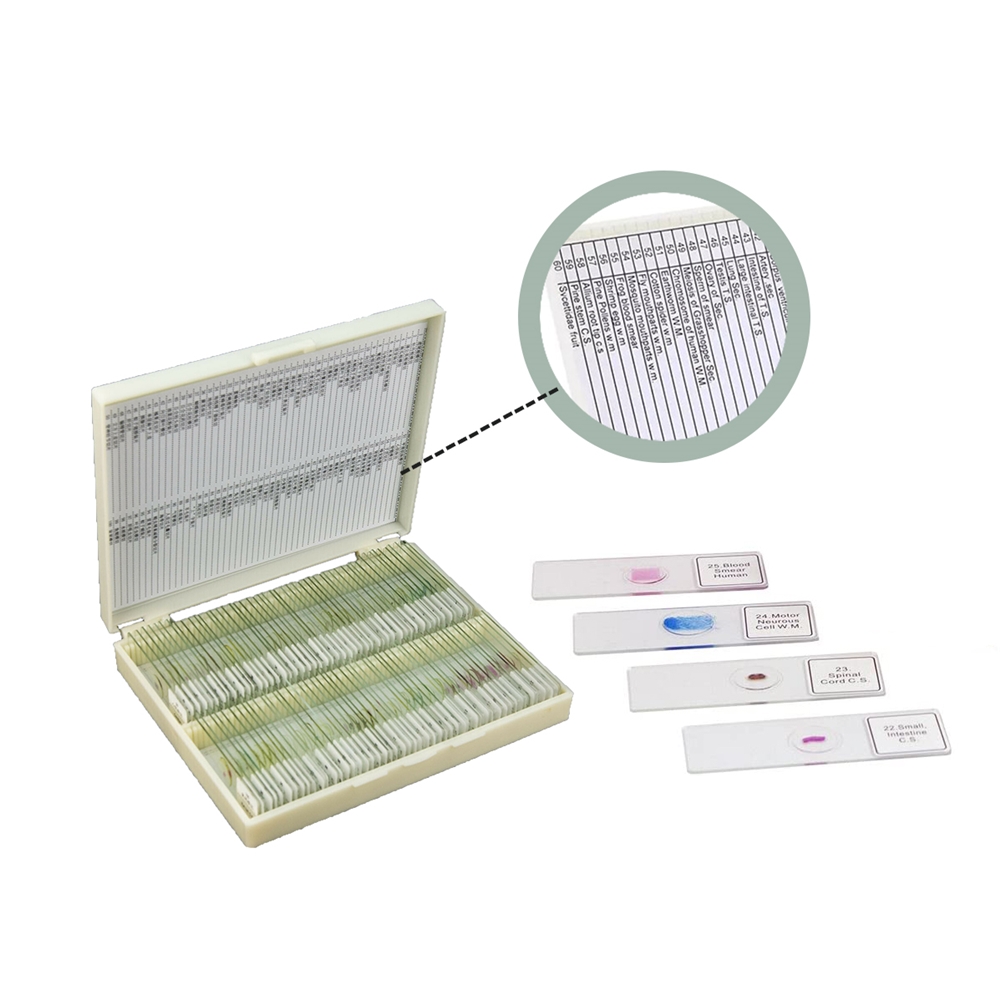Instrumen Laboratorium Peralat - Medical Lab Iso ulasan dan harga