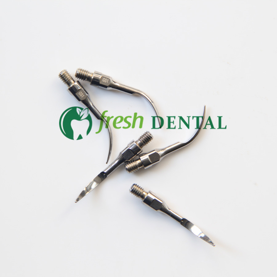 5 Buah Ujung Scaler Ultrasonik - Dental Scaler Ultrasonic ulasan dan harga