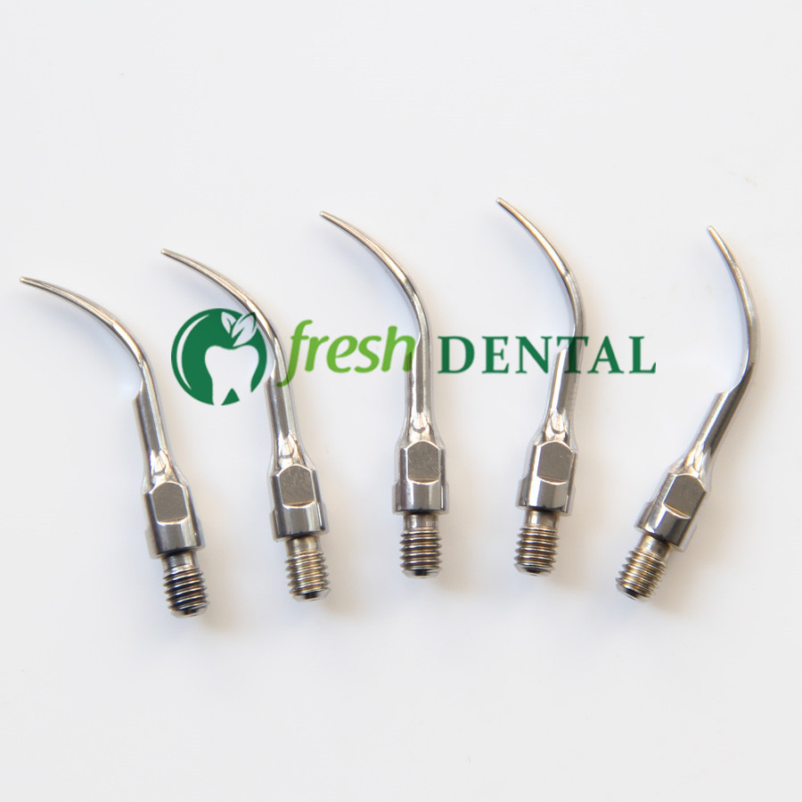 5 Buah Ujung Scaler Ultrasonik - Dental Scaler Ultrasonic ulasan dan harga